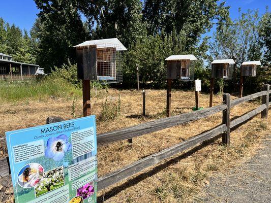 Jackson Bottom - bee huts :)