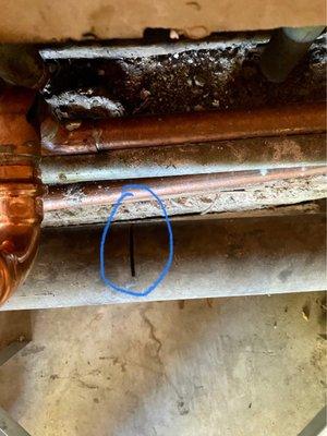 The pipe that was cut by them while replacing another pipe