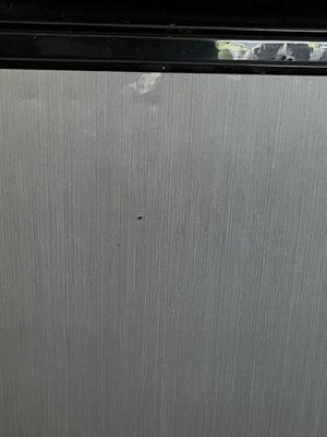 Bugs on the damn fridge