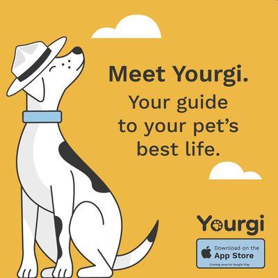 We've unleashed our new app Yourgi... and it's filled with features that will make your tail wag! www.dugansvethospital.com/yourgi