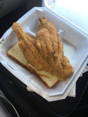 Fried Catfish