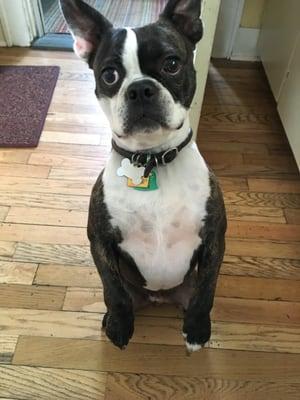 Eli sitting up for a cookie