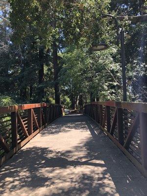 The bridge in El Palo Alto Park!