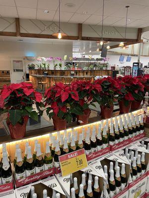 Pretty interior - holiday poinsettias and orchids in the background