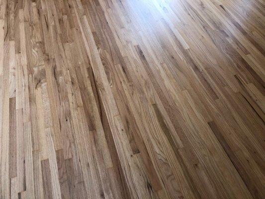 Refinished floor where it was damaged in other picture