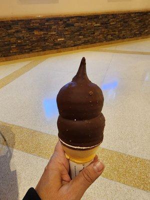 Vanilla cone dipped in chocolate.