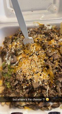 carne asada fries