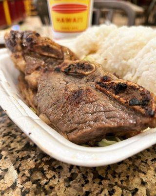 Desire lines sent me to badlands But I'm on my way back now  BBQ Short Rib Plate (all rice) from #LandLHawaiianBarbecue