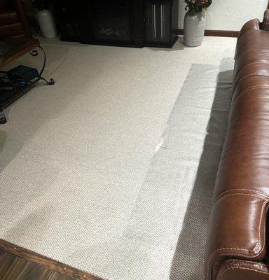 The installed carpet