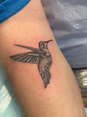 Me and my son got mother/son tattoos.  He got this beautifully detailed hummingbird.