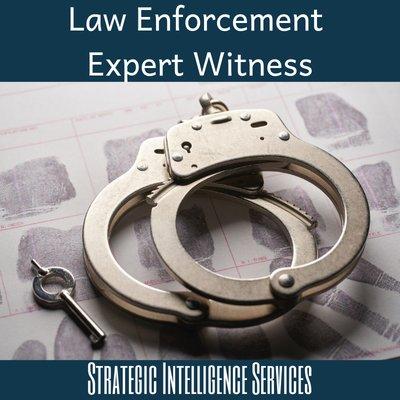 Hire a police expert witness today