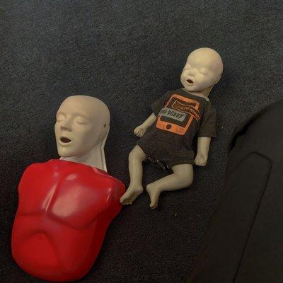 BLS Express CPR