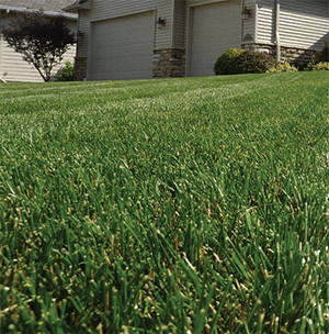 Do you desire that perfect lawn for your relaxation and enjoyment?