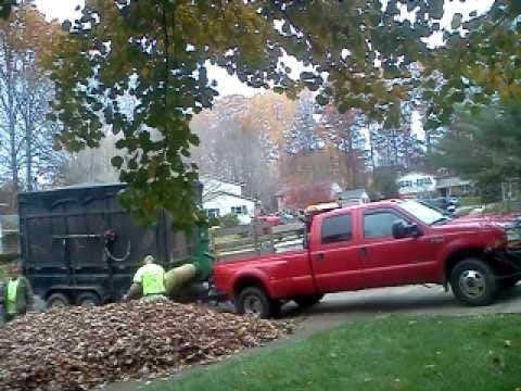 Fall clean up