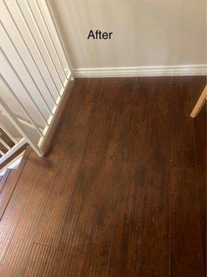 REPLACED : Scratched floor vinyl plank