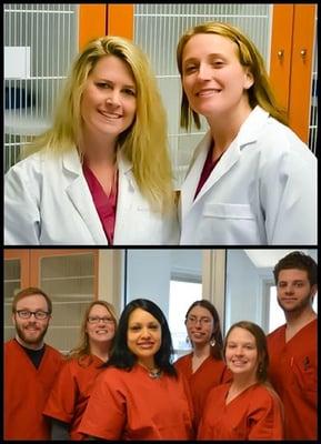 Drs. Margaret Siems and Christine Bohn Kirnos with their wonderful staff: Ed, Jayne, Angela, Laura, Valerie, and Stephen.