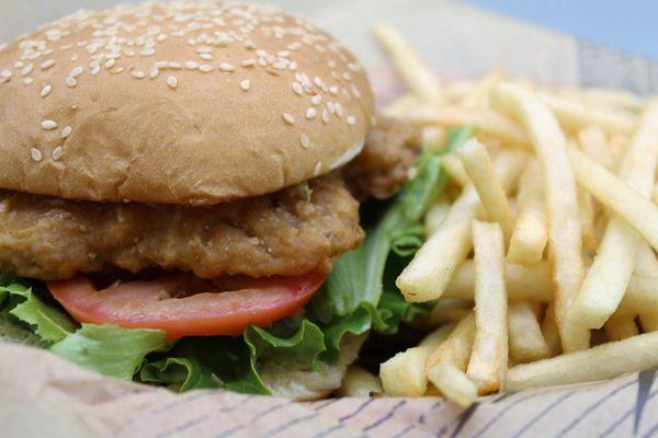 Chicken Stick Burger with Fries