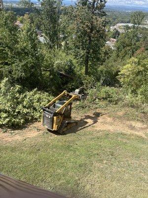 Amazing machine able to grab a big tree and drag it off