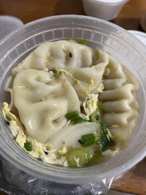 Dumpling soup