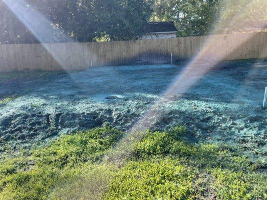 I was told we would get pallets of grass and instead I came home to grass seed that all washed away that day because of rain.