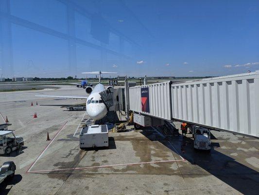 Terminal D at PHL. Delta terminal. Gate D14.