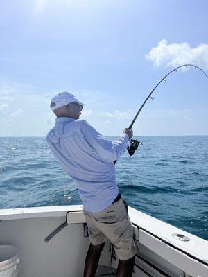 Seven foot nurse shark caught and released