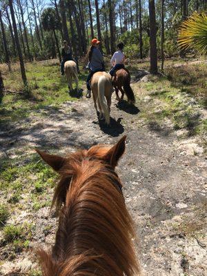 A Bit of Hope Ranch