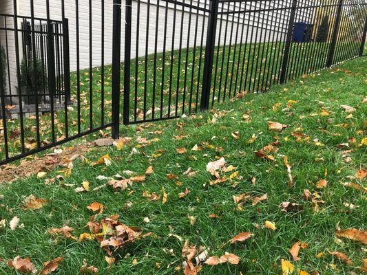 Transition between bottom rail flush to ground to 3" gap needed for gate. Non-gate-adjacent panels should have had a 2" gap.