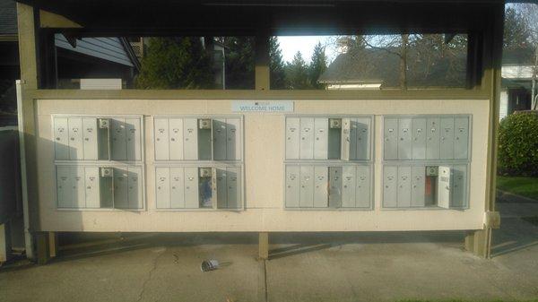 Mailboxes after one of the many break-ins.