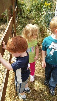 Milford - Kids playing outside