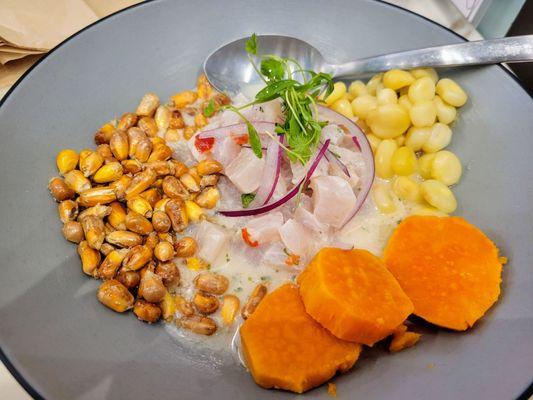 Peruvian ceviche - fresh mahi mahi, good portion, a bit too acidic/limey, maybe aji amarillo could have rounded it out a bit.