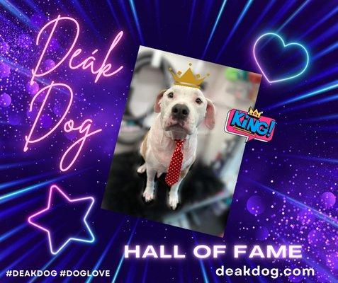 Deàk Dog hall of fame!