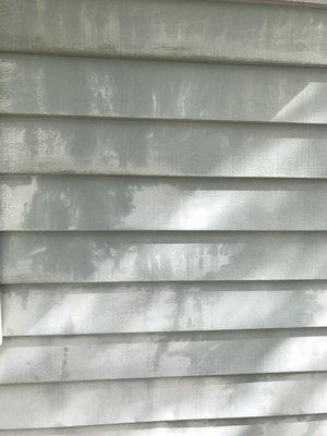 Siding after 20/20 soft wash - unbelievable.