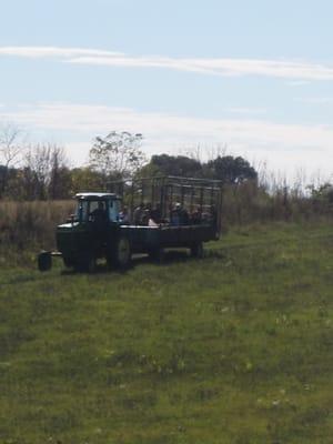 Tractor ride