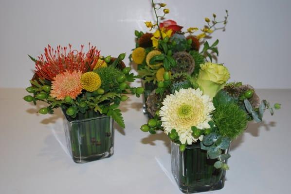 Stop by the store for an excellent selection of small arrangements made creatively and differently from everyone else.