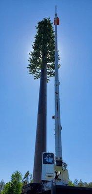 Florida Crane & Rigging | Orlando - 145 ft Cell Tower Project