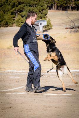 Ancillary K9 is most trusted aggressive dog training in Denver.