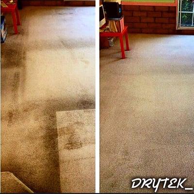 Here's a picture of one of the rooms they cleaned, the kids can roll and play on the carpets. Thanks DRYTEK.