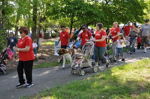 Go-Forth Charlotte at The Cystic Fibrosis Walk!