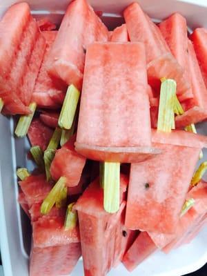 Watermelon Paleta