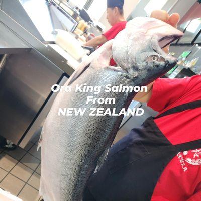 Fresh Ora King Salmon. Free in AYCE!