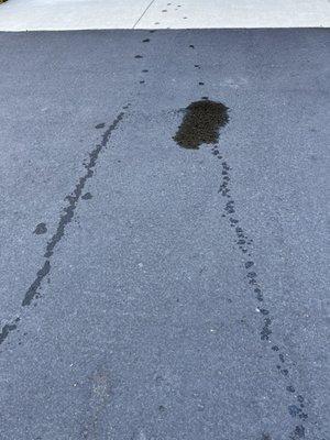 Oil leak from oil change.