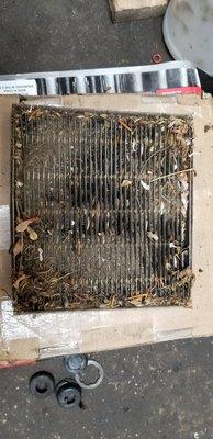 Cabin filter replacement