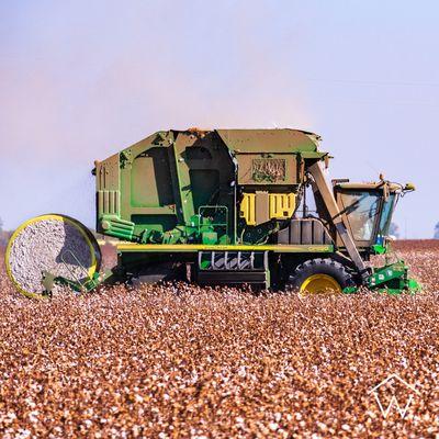 Cotton season is in full swing! Keep your equipment protected with WeadCo to ensure a stress-free harvest this year.