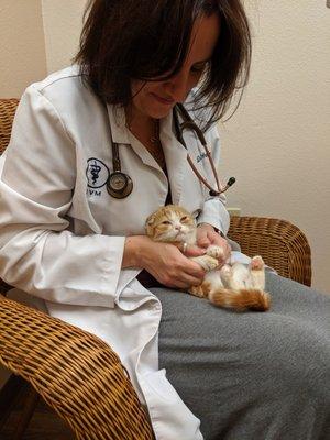 Purrfect Health Cat Hospital