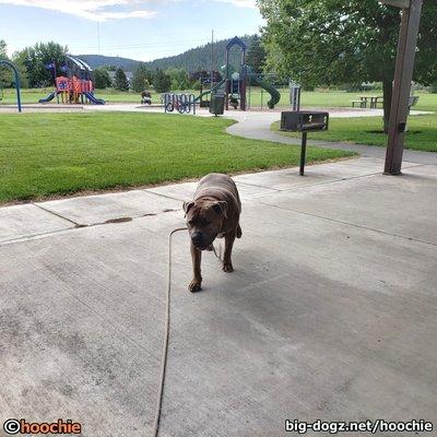 Ben Burr Park and Playground