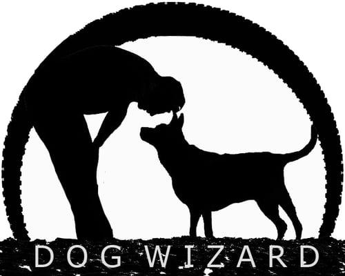 The Dog Wizard