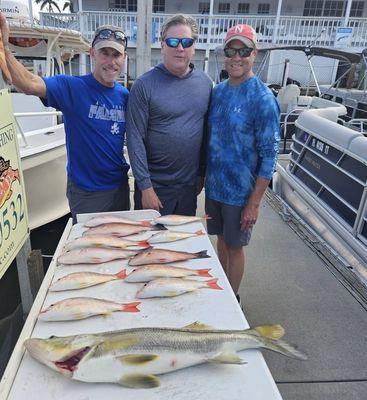 Today's catch in Naples. Great day out and great guide. He knows his fish. Can't wait to get them cooked for dinner tonight.