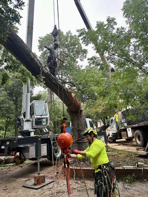 Leatherface Tree Service