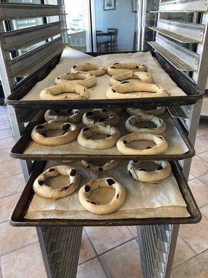 Maltese molasses rings